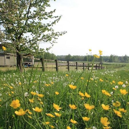 Mezzomerico Agriturismo Cargandinoヴィラ エクステリア 写真
