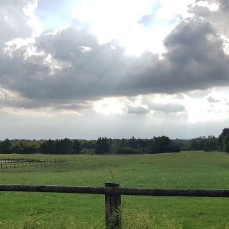 Mezzomerico Agriturismo Cargandinoヴィラ エクステリア 写真