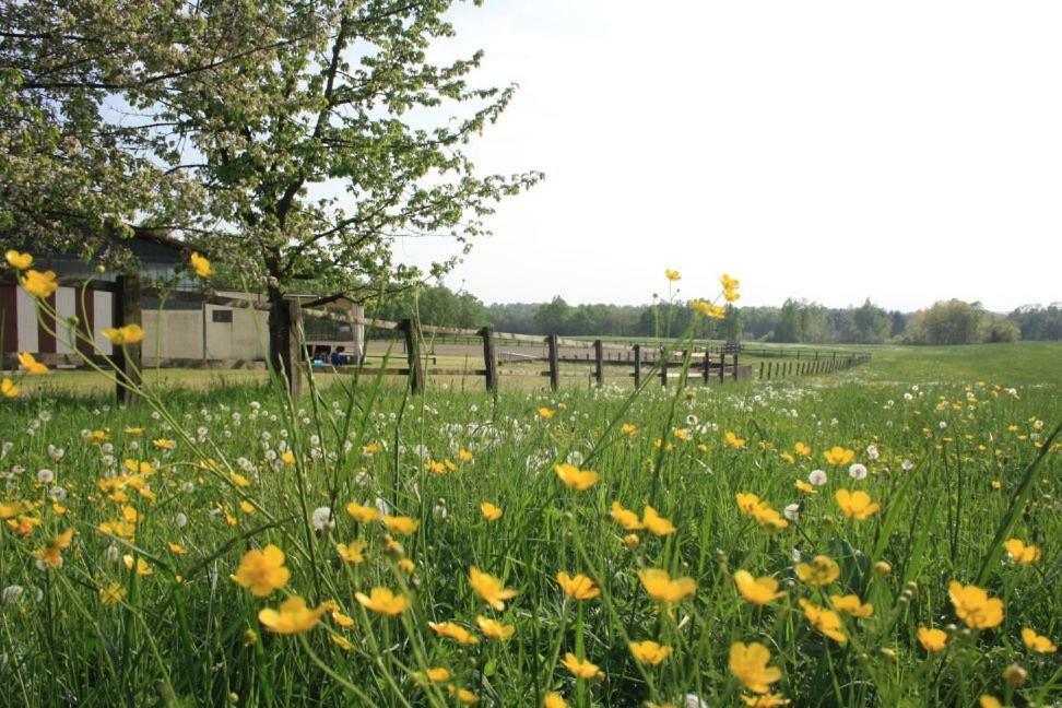 Mezzomerico Agriturismo Cargandinoヴィラ エクステリア 写真